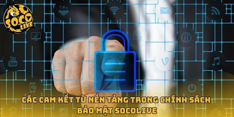 Các cam kết từ nền tảng trong chính sách bảo mật Socolive