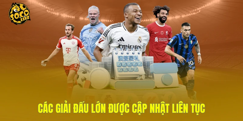 Các giải đấu lớn được cập nhật liên tục