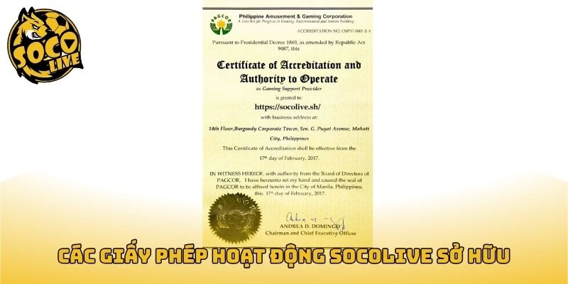 Các giấy phép hoạt động Socolive sở hữu