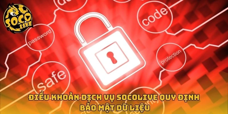 Điều khoản dịch vụ Socolive quy định bảo mật dữ liệu