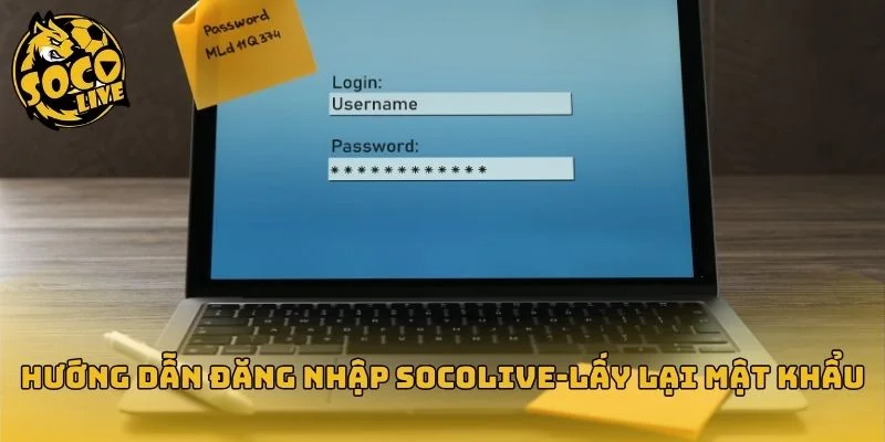 Quy trình đăng nhập socolive và khôi phục tài khoản đơn giản
