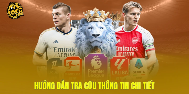 Hướng dẫn tra cứu thông tin chi tiết