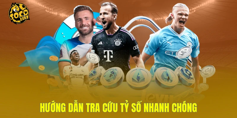 Hướng dẫn tra cứu tỷ số nhanh chóng