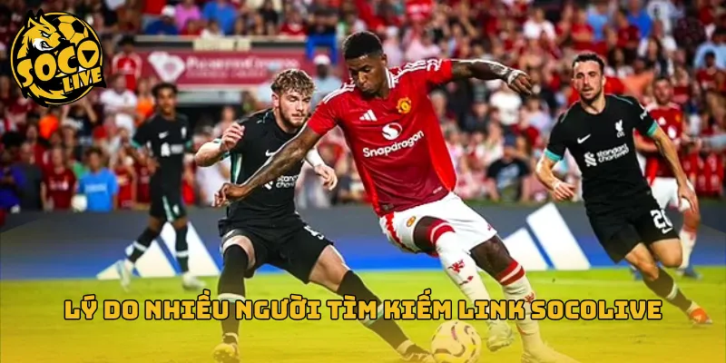 Lý do nhiều người tìm kiếm link Socolive