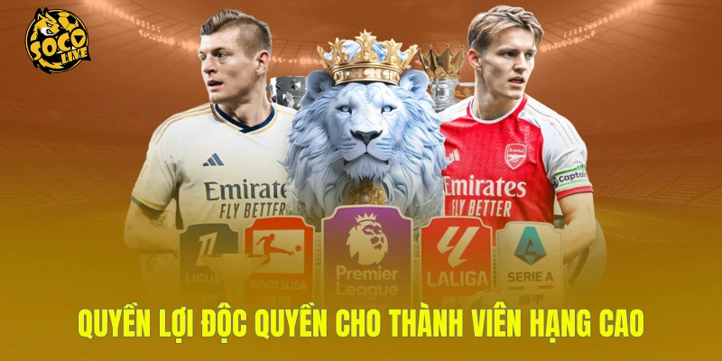 Quyền lợi độc quyền cho thành viên hạng cao