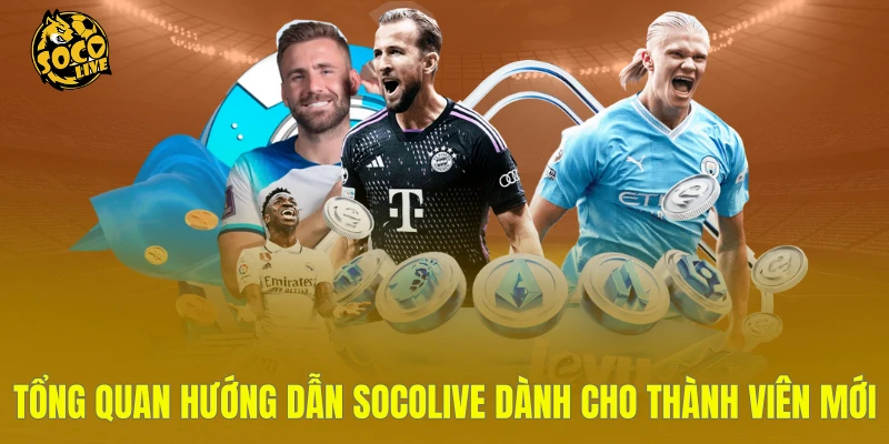 Tổng quan hướng dẫn Socolive dành cho thành viên mới
