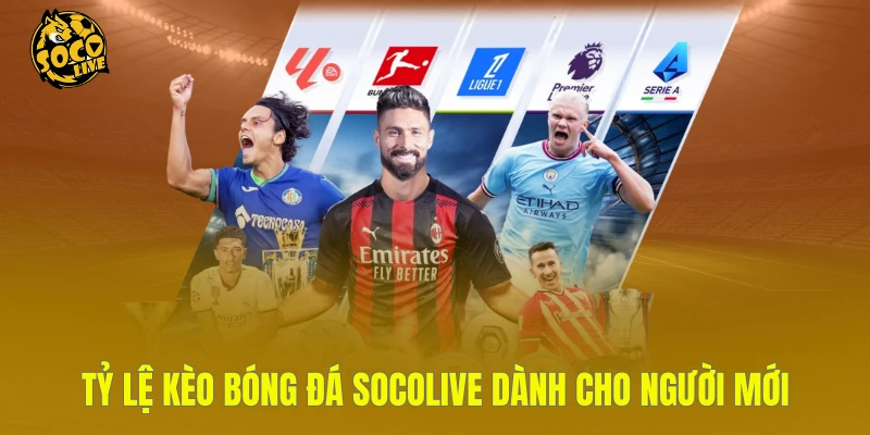 Tỷ lệ kèo bóng đá Socolive dành cho người mới