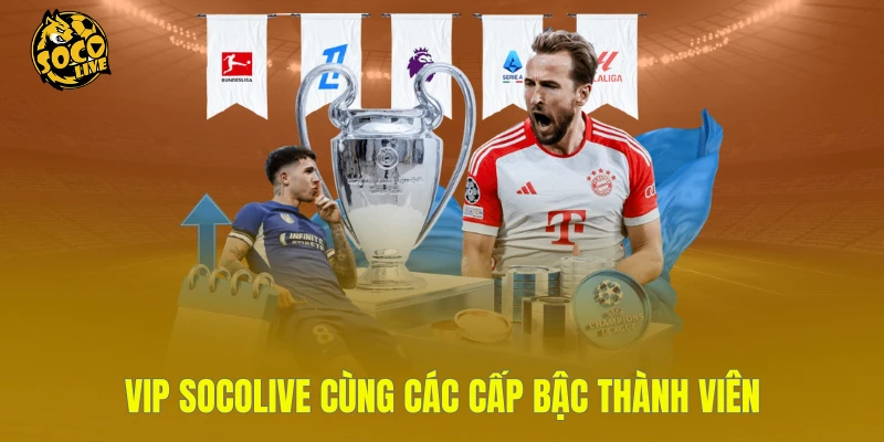 VIP Socolive cùng các cấp bậc thành viên